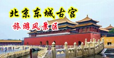 日日抽插中国北京-东城古宫旅游风景区